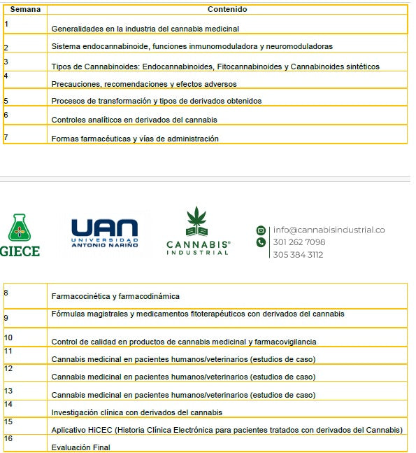 Curso en Sistema Endocannabinoide y Cannabis Medicinal