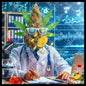 Bud in the Embrace of Science