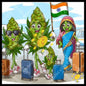 Bud on the Indian Adventure
