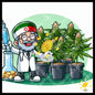 Bud in the science of cultivation