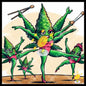 Star of yerba on stage