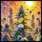 Weed on the journey of colors