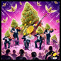 Big Weed in the Dance of the Future