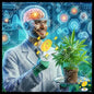 Marijuana in the Bright Mind