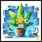 Smartweed in the dance of genius