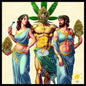 Bow in the mythological celebration