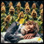 Siesta of Buds in the Celebration