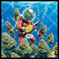 Adventurous yerba with a marine view