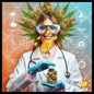 Yerba in the hug of innovation