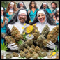 Yerba on the path to enlightenment