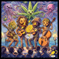 Yerba on the musical journey