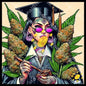 Yerba in the celebration of laughter