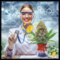 Yerba in the dance of innovation