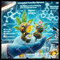 Yerba in the scientific exploration