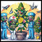 Yerba in the scientific revelation