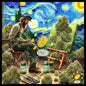 Stellar Herb on the Canvas
